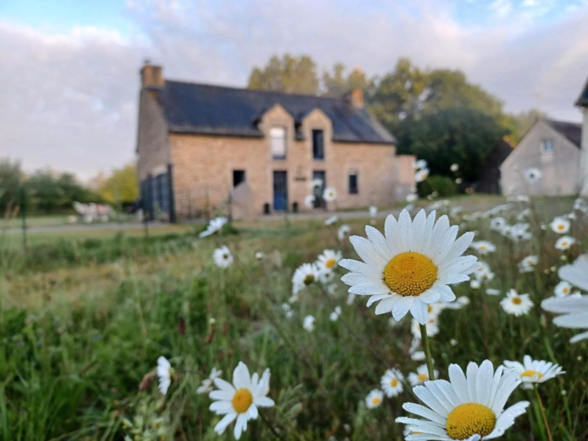 Au Petit Bonheur De Claire Et Jo Panzió La Chapelle-Caro Kültér fotó