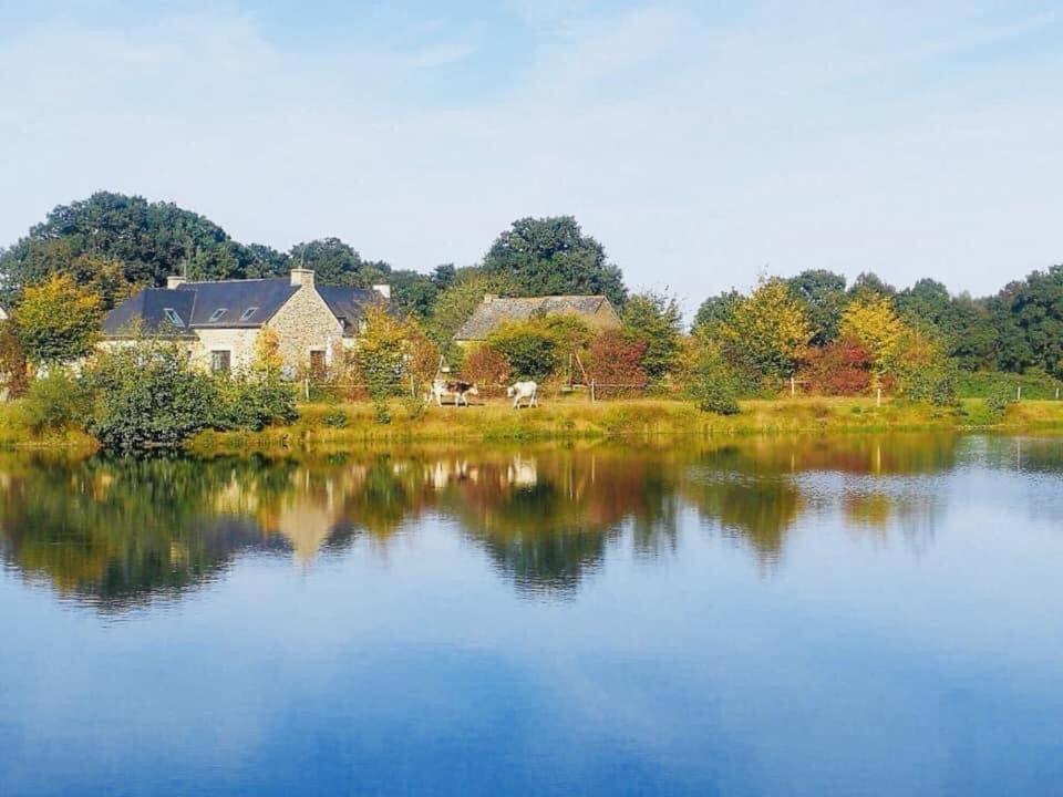 Au Petit Bonheur De Claire Et Jo Panzió La Chapelle-Caro Kültér fotó